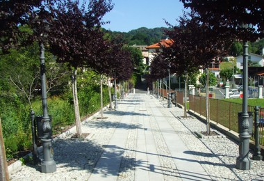 Cellio