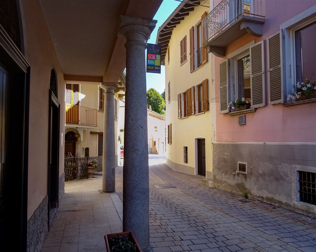 Cellio