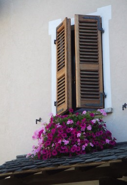 Colori e particolari - Campanelle e Beole