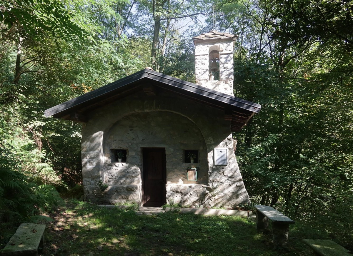 Viganallo