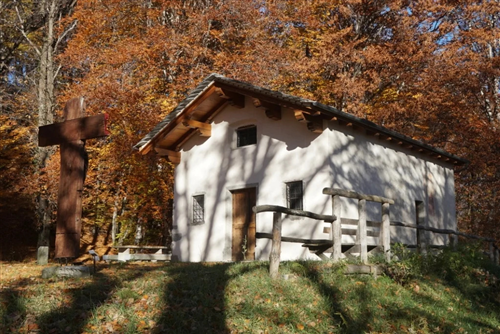 Bosco, 615 metri s.l.m.